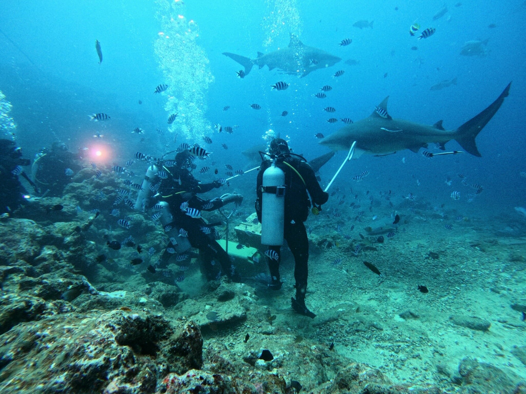 Aqua-Trek-太平洋港必去景点