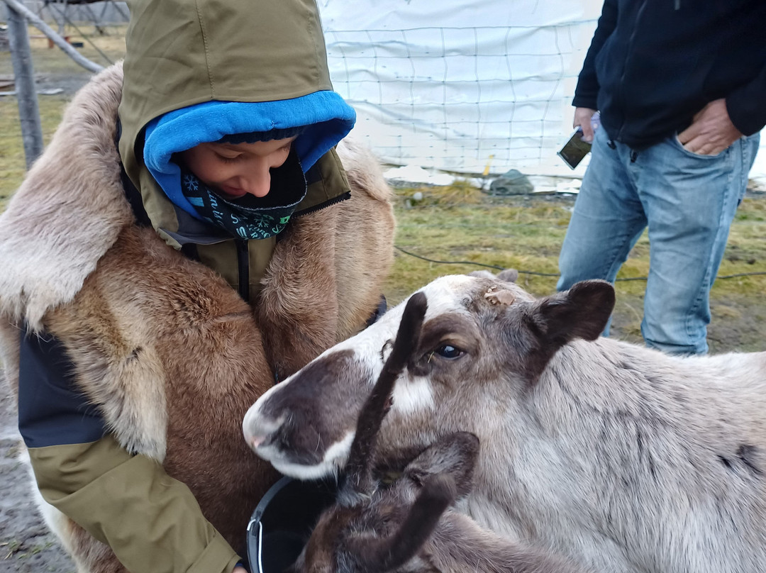 Sami Siida-阿尔塔必去景点