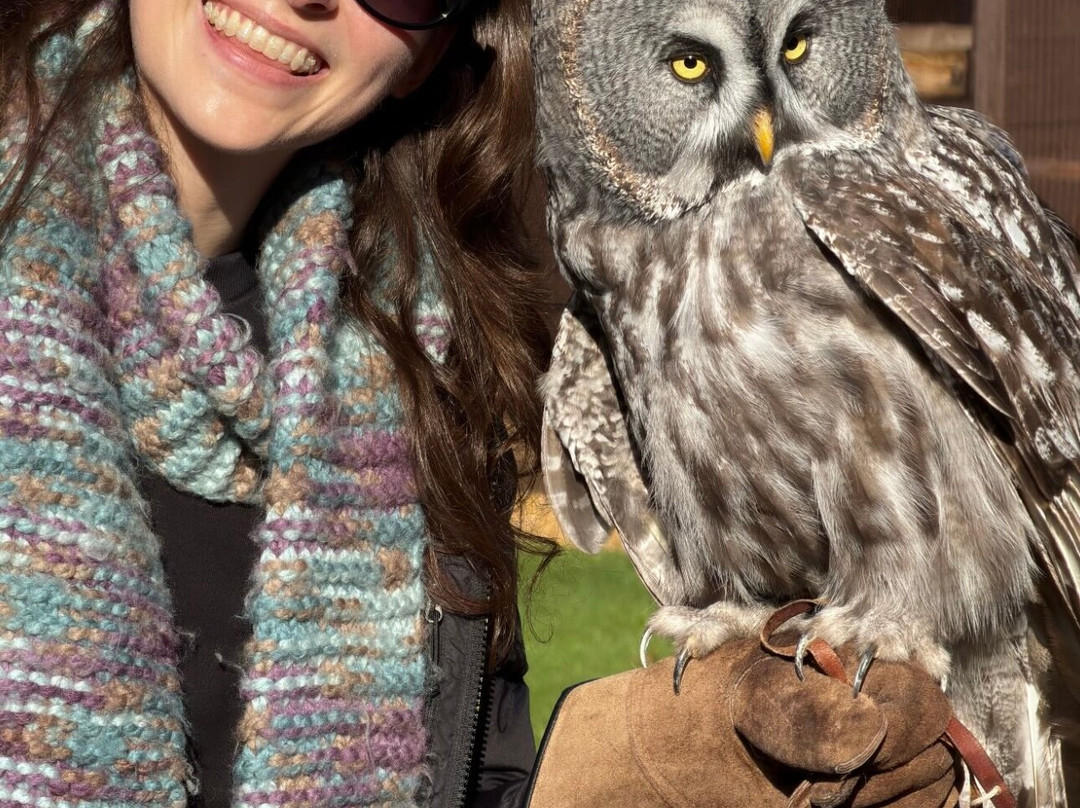 West Sussex Falconry-Compton必去景点