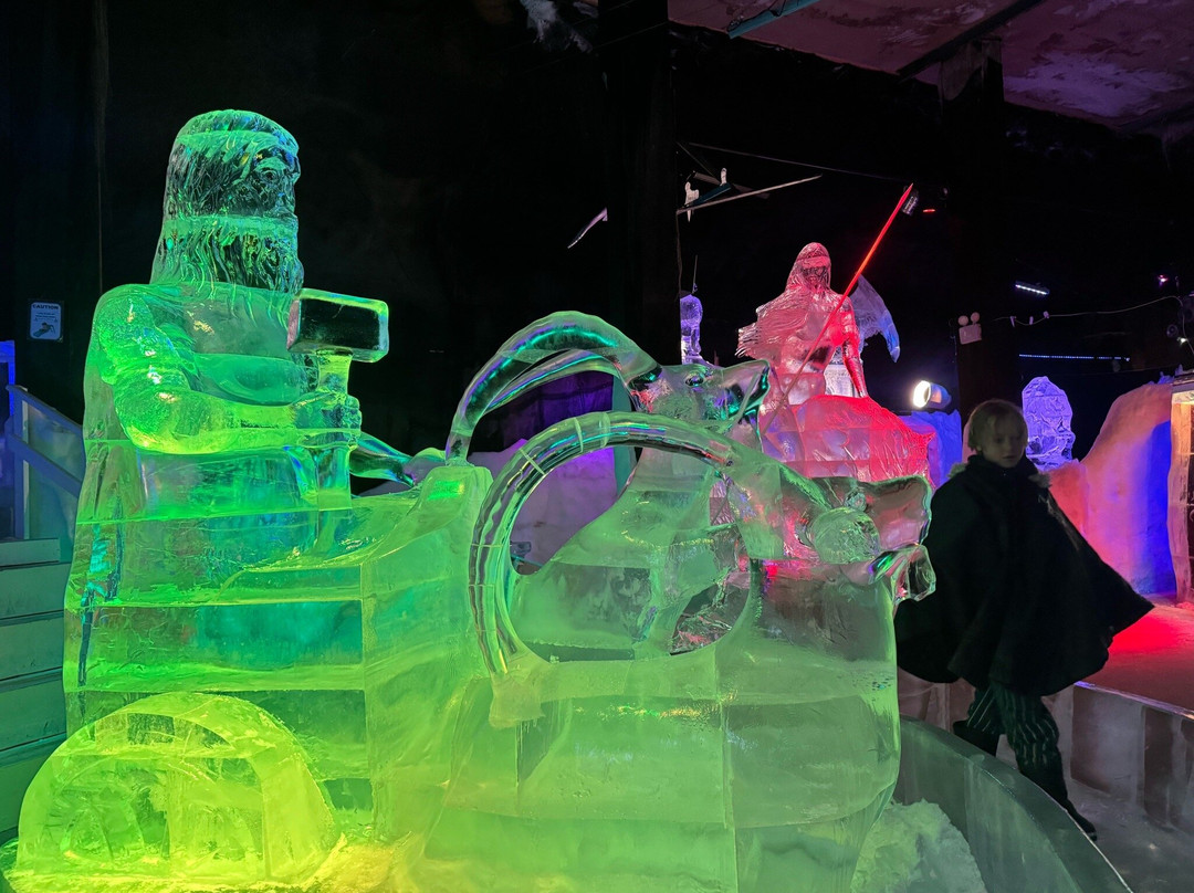 Magic Ice Lofoten-斯沃尔韦尔必去景点