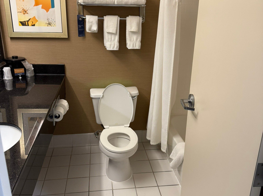 Fairfield by Marriott Inn & Suites Toledo Maumee主图