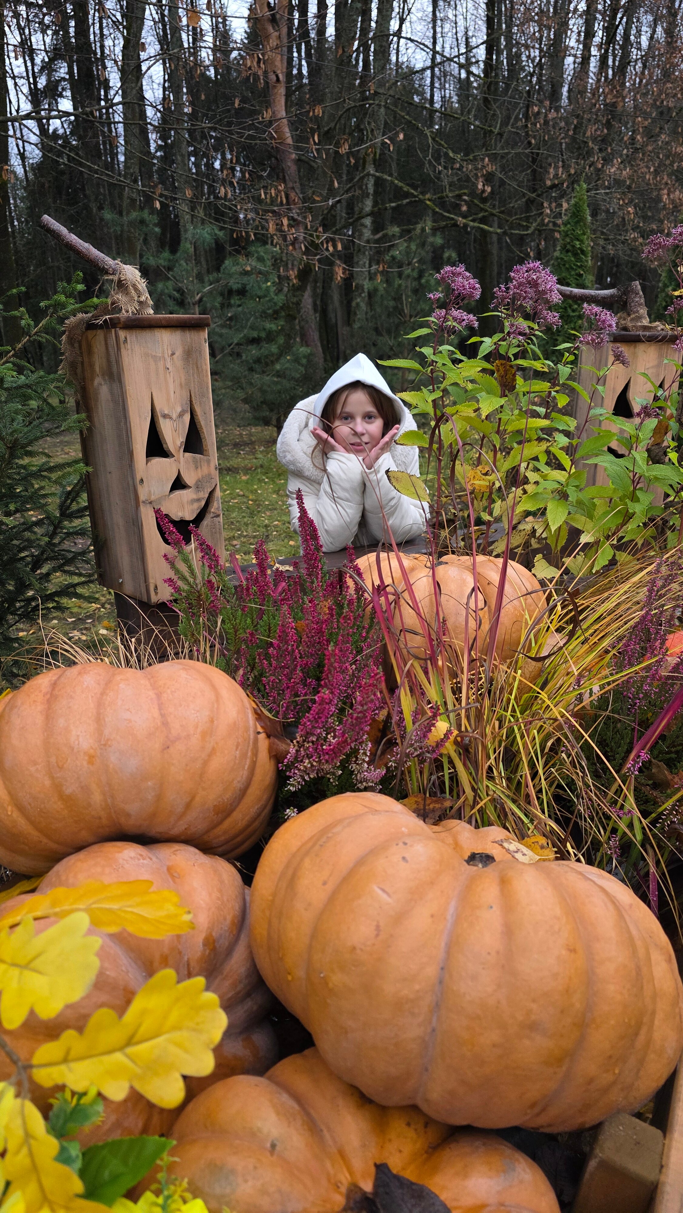 Vozdvizhenskoe Park Hotel-官方
