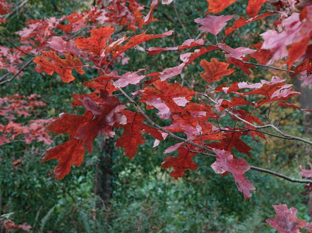 Landgoed Schovenhorst-Putten必去景点