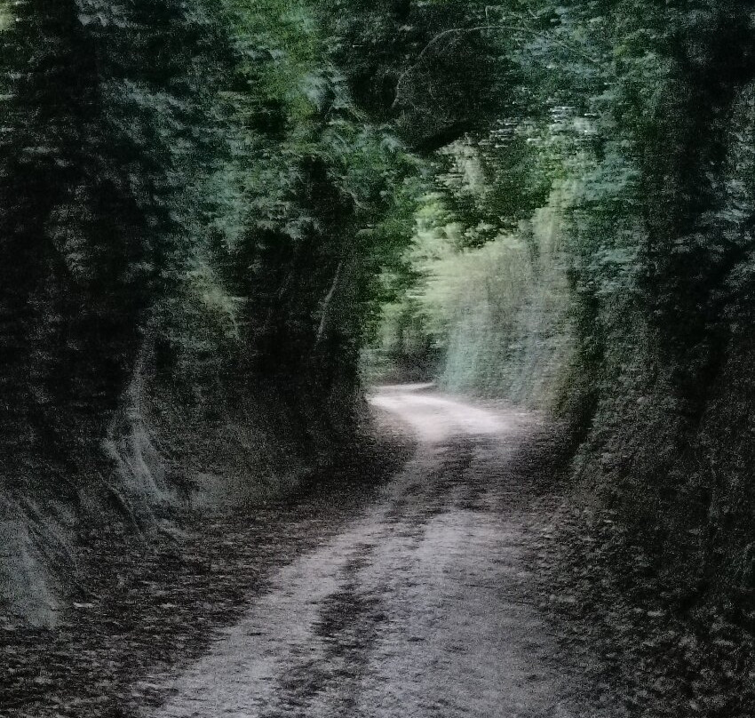 Parco Archeologico Di Otricoli-Otricoli必去景点