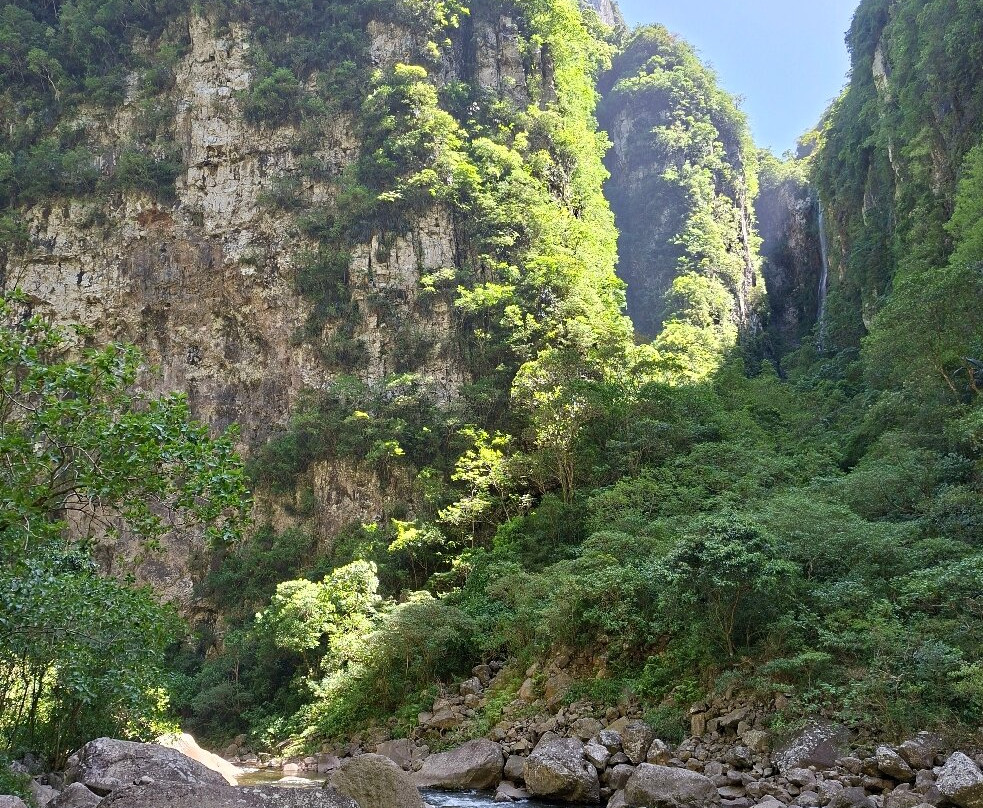 Trilha Do Rio Do Boi-Praia Grande必去景点