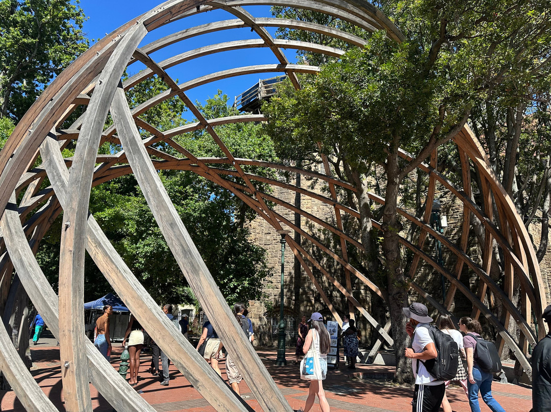 Culture Connect SA-罗斯班克必去景点