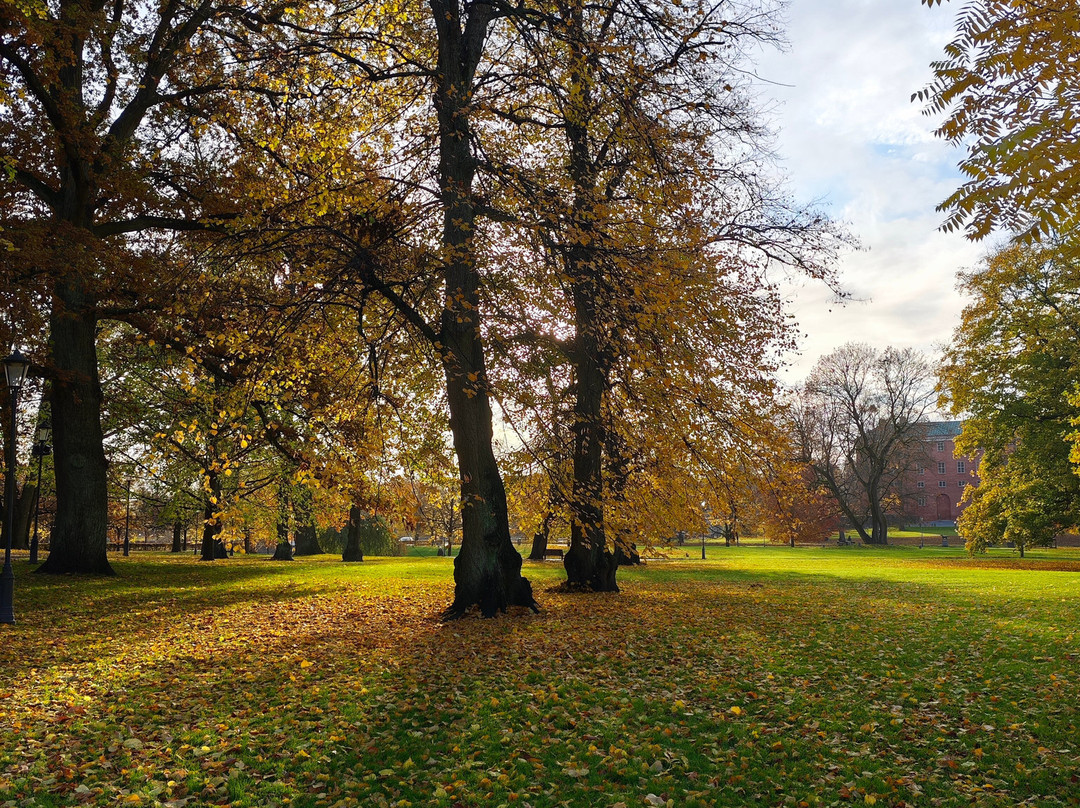 Vasaparken-韦斯特罗斯必去景点