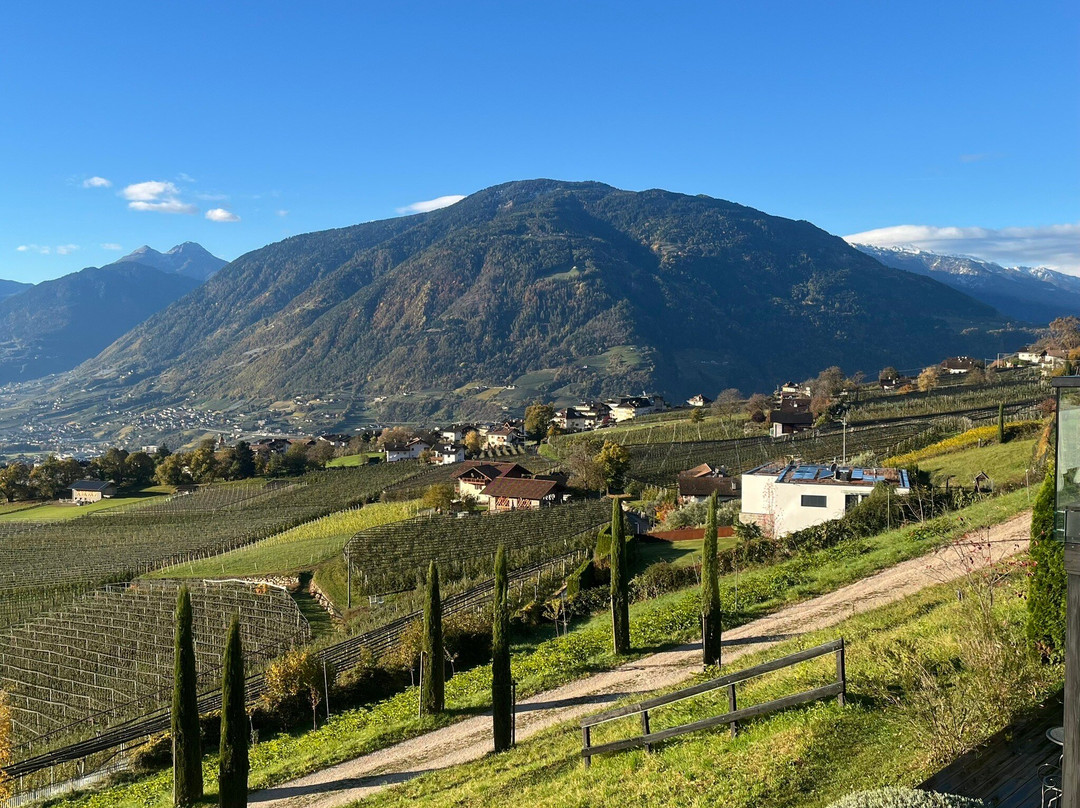 Hotel Küglerhof主图