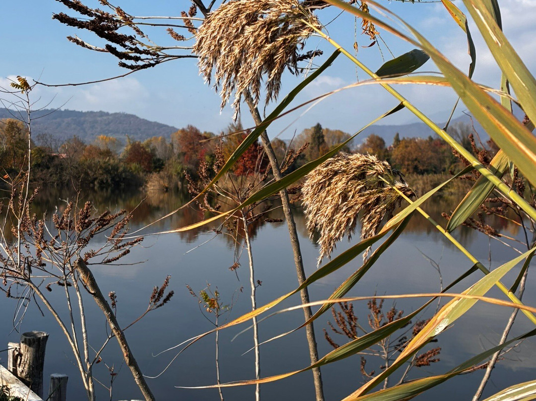 Torbiere del Sebino-Provaglio d'Iseo必去景点