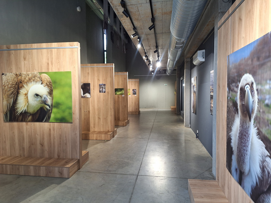 Petrich History Museum