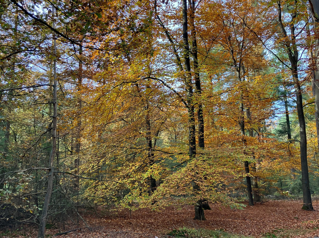 弗莱彻酒店主图
