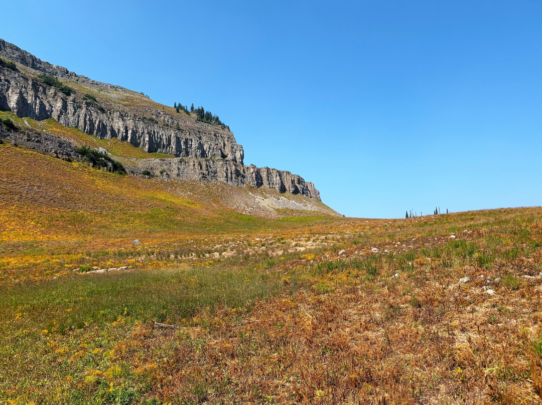 Dry Ridge Outfitters-德里格斯必去景点