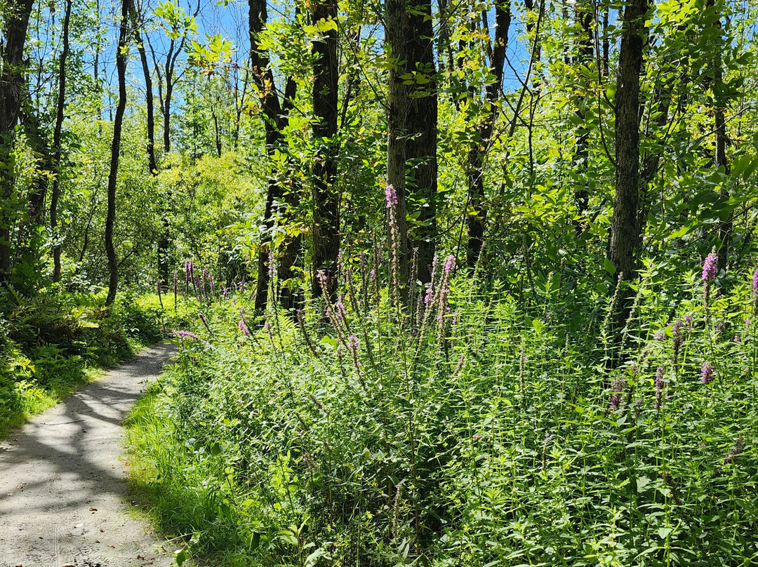 Le Parc Des Hauts-Fonds-St Augustin de Desmaures必去景点