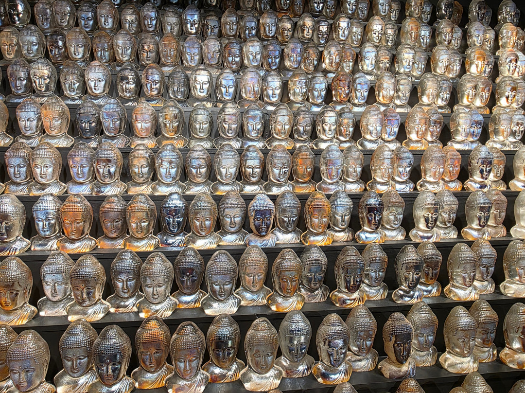 Imagine Museum-圣彼德斯堡必去景点