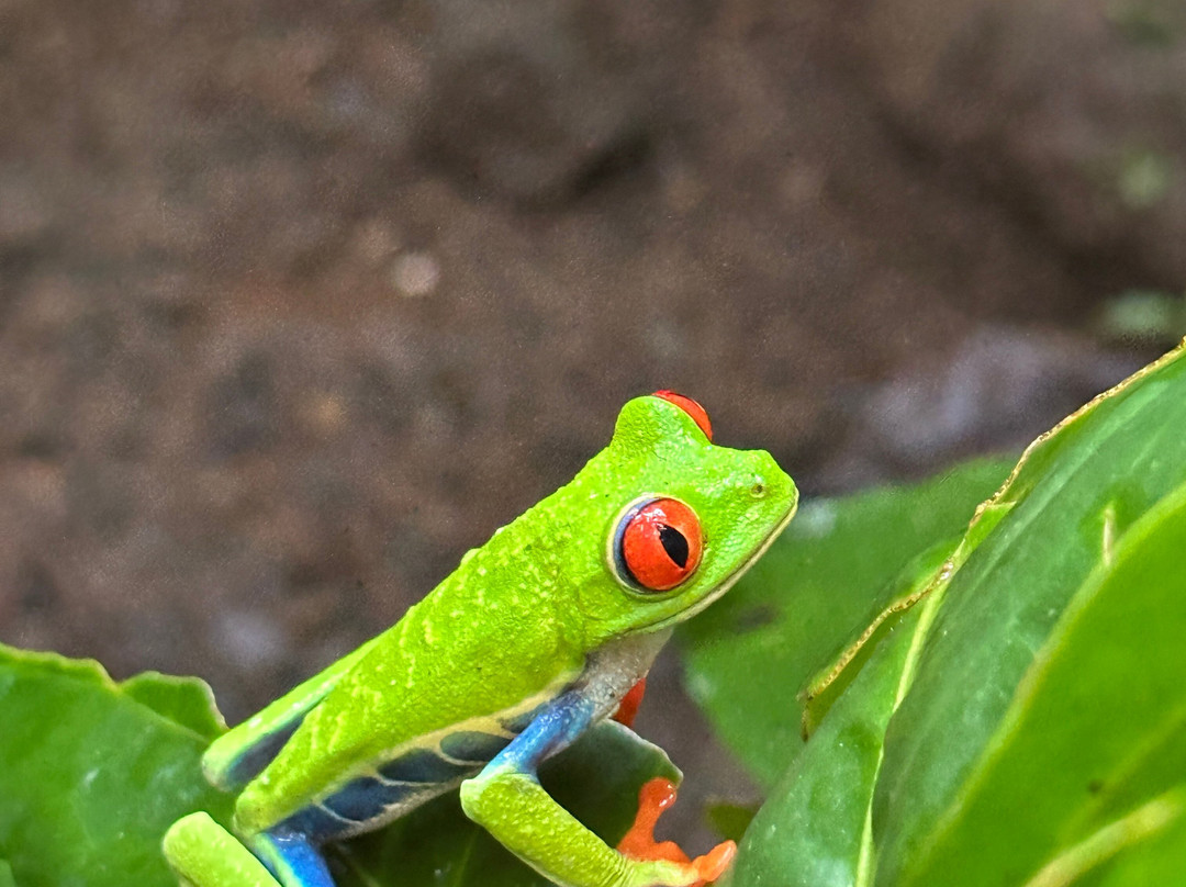 Costa Rica EZ Travel Adventures-Playa Flamingo必去景点