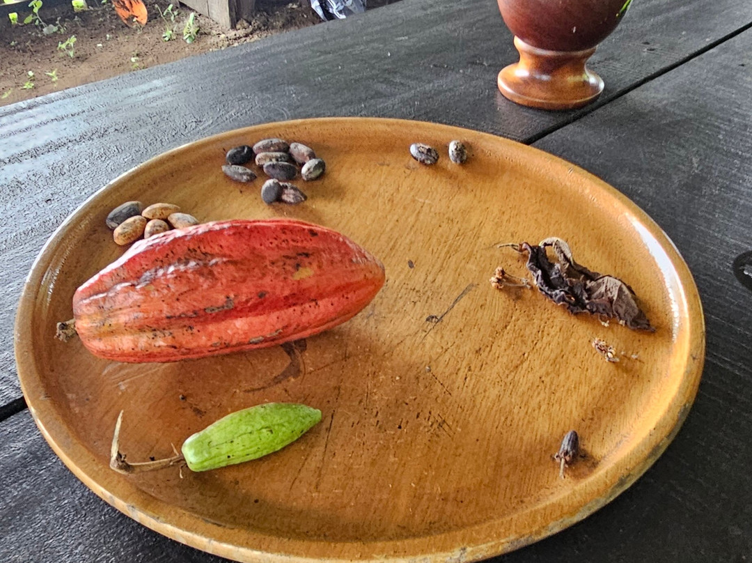 Costa Rica Xploring Tours-Gulf of Papagayo必去景点