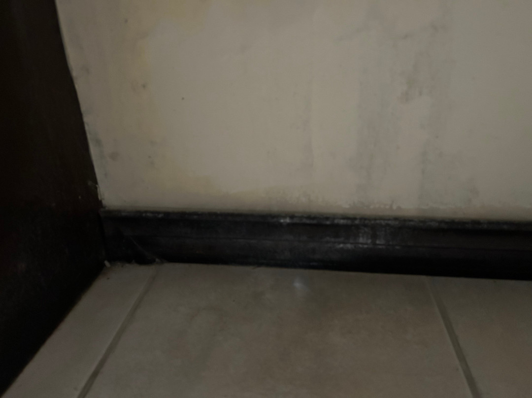 Condovac la Costa主图