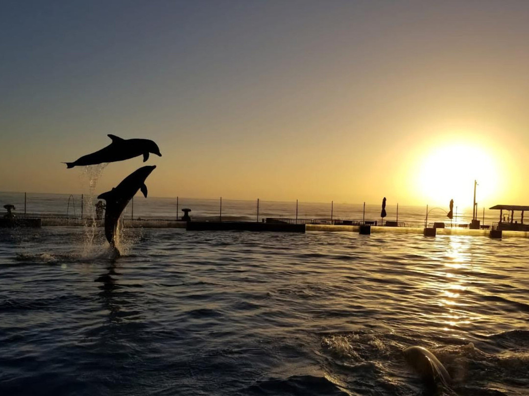 Holiday Inn Express & Suites Palm Coast主图