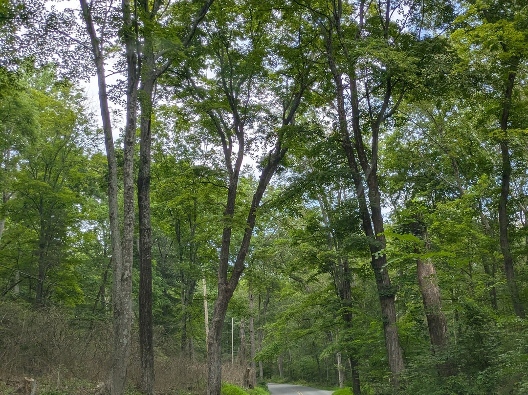 Ridge Top Village at Shawnee主图