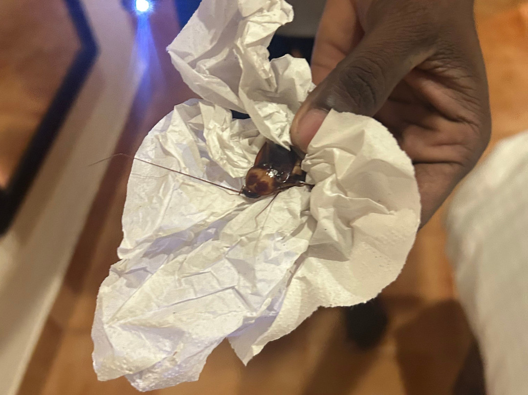 索玛希拉姆印度疗养度假酒店主图