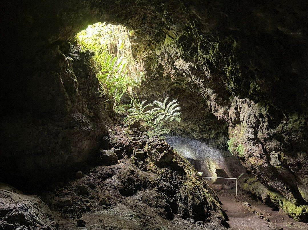 Hana Lava Tubes-海库必去景点