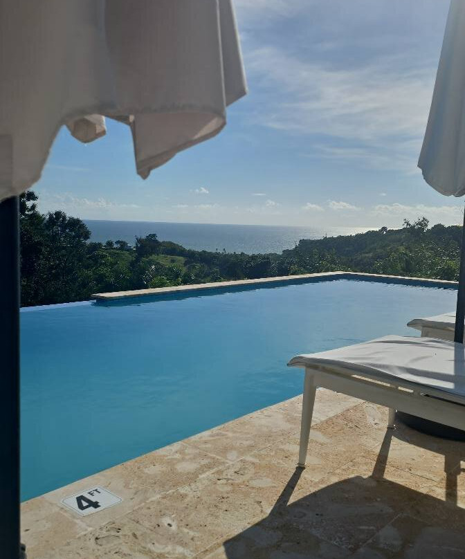 The English Rose Guest House主图