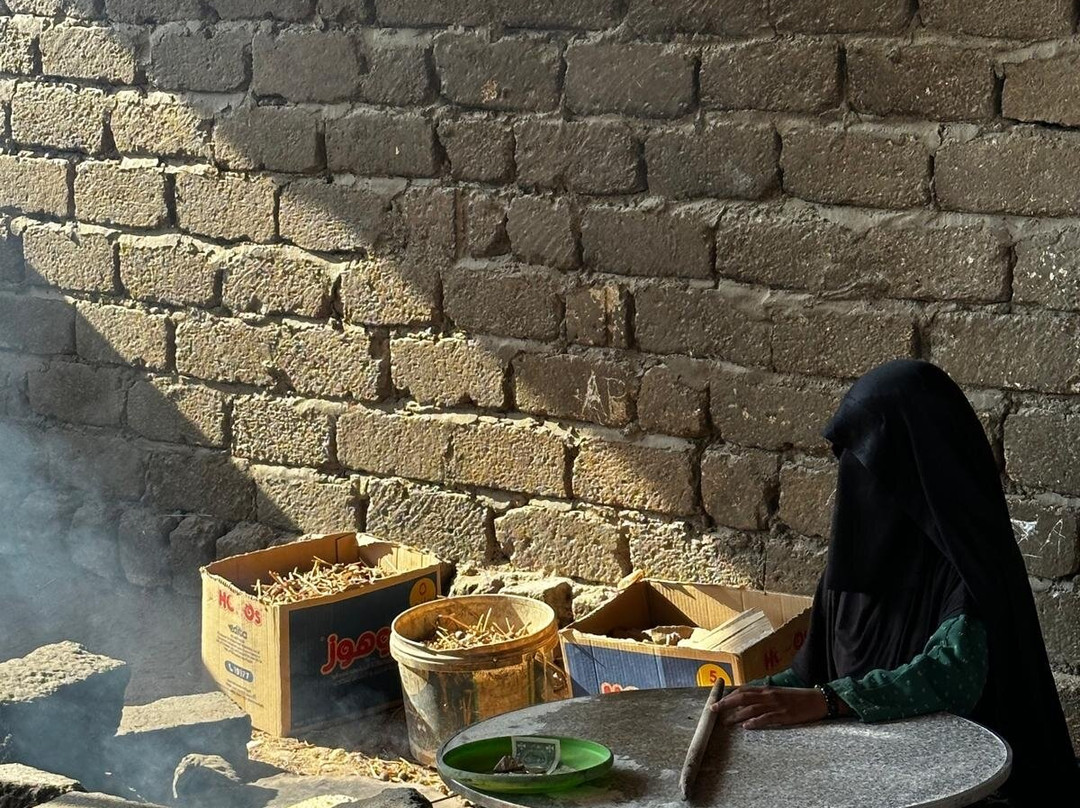 Scorpion Safari-赫尔格达必去景点