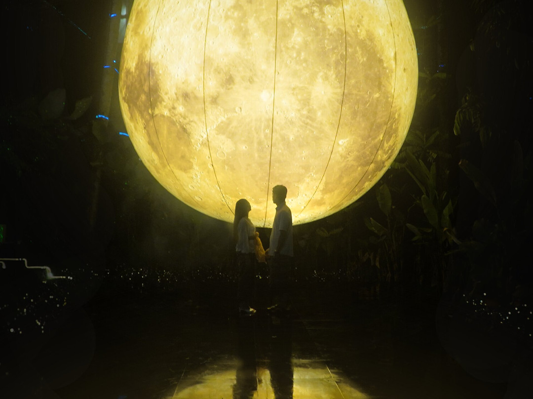 Hikaria: Bali's First Immersive Night Walk