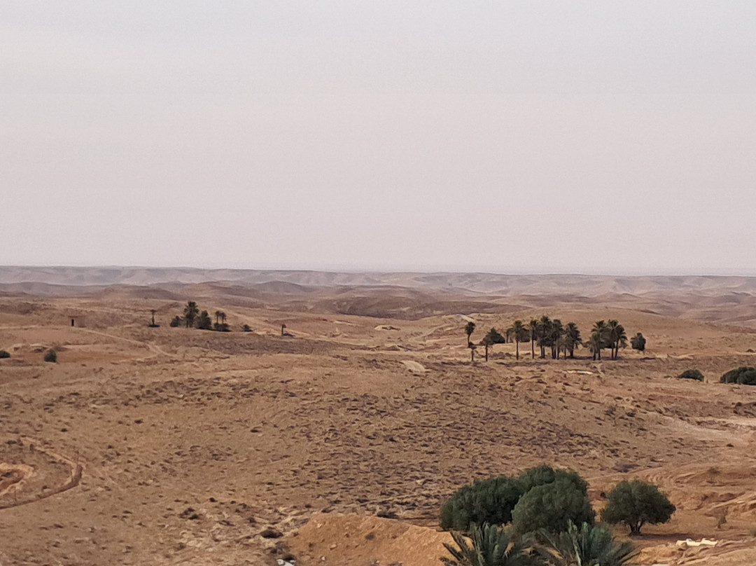 达雷耶德塔梅泽雷特酒店主图