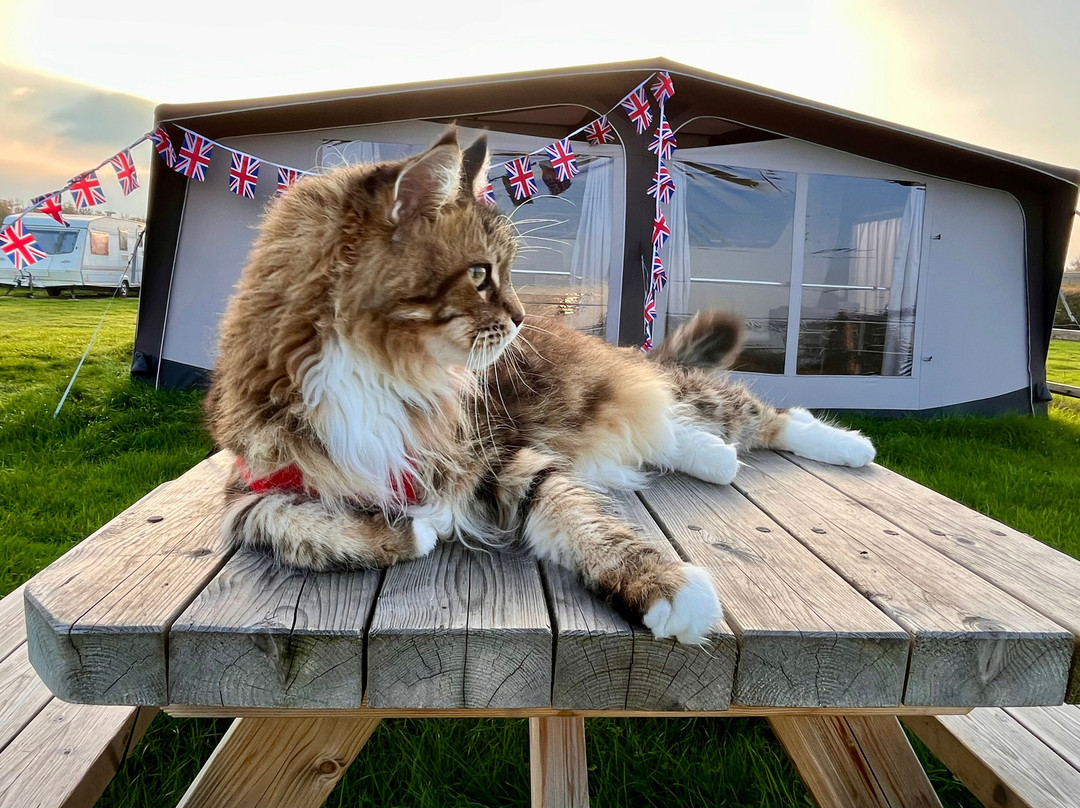 Burton Springs Fishing and Holidays-布里奇沃特必去景点