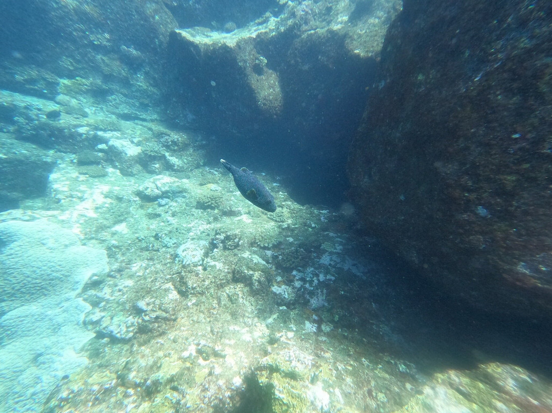 Scuba World Diving Mauritius-马喜埔必去景点