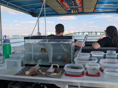 Sarasota Bay Explorers-萨拉索塔必去景点