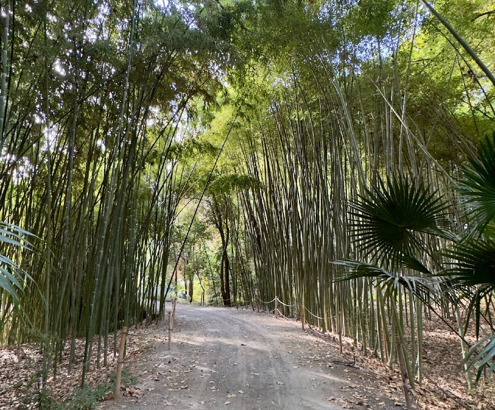 Jardin Botanico Historico La Concepcion-马拉加必去景点