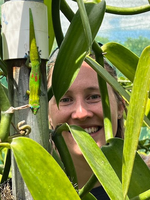 Maui Vanilla Farm-马卡瓦必去景点