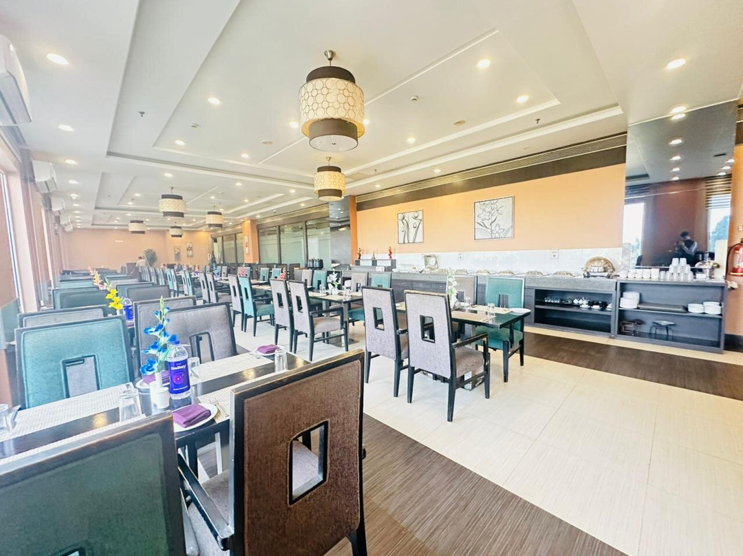 The Radiant Swan主图