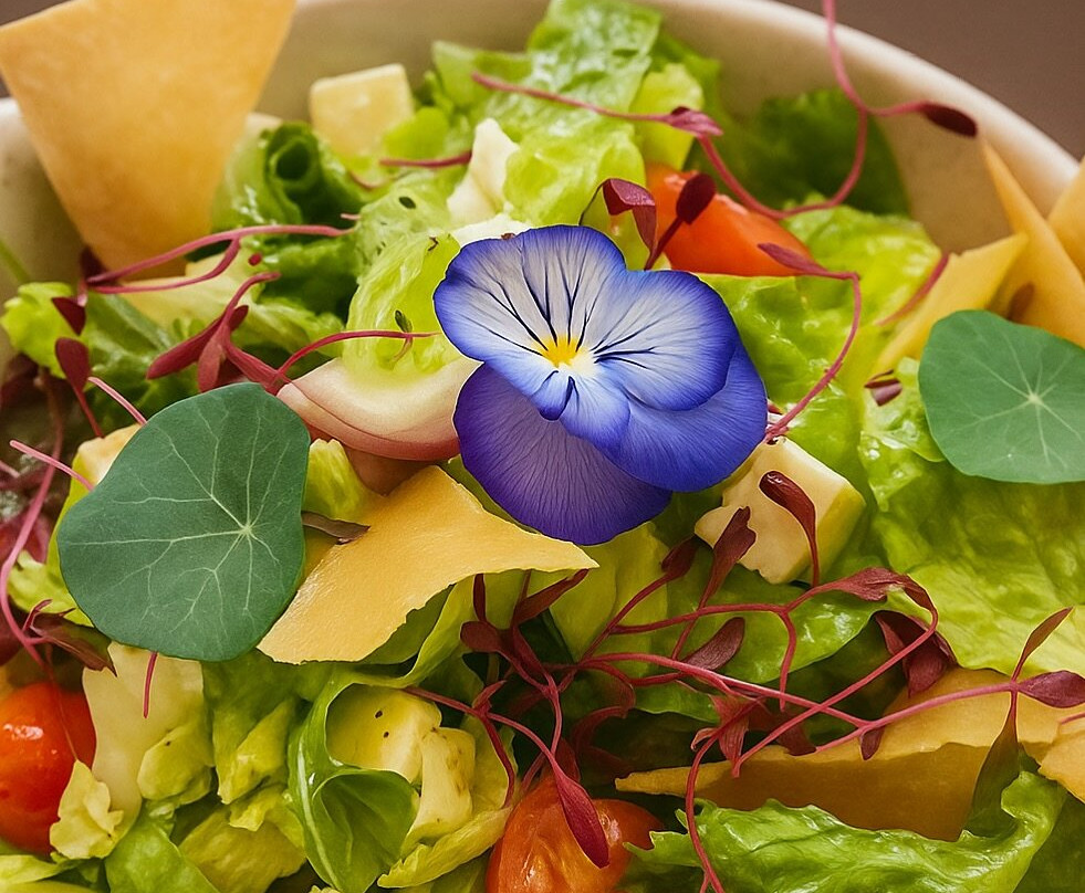 Restaurante Saint - Loulé