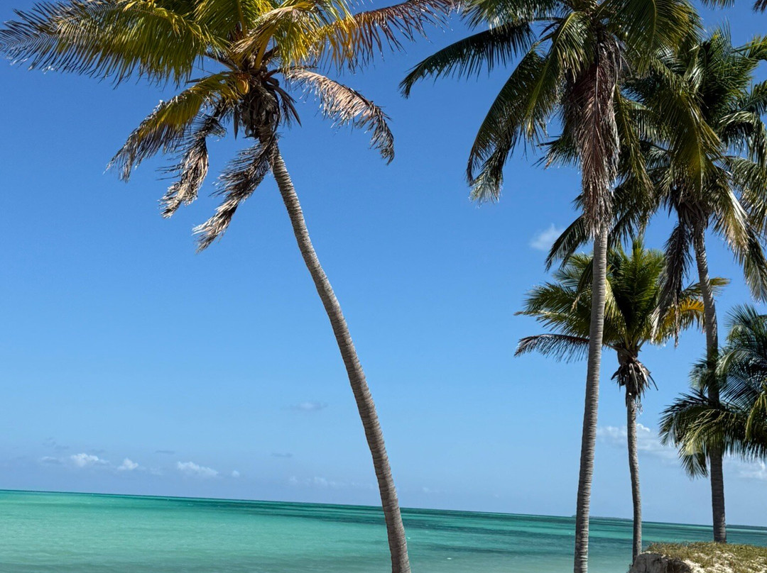 Cayo Levisa-Pinar del Rio Province必去景点