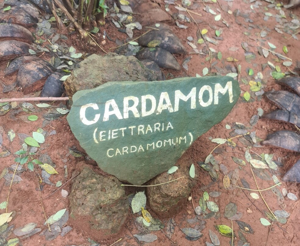 Sirilak Spice & Herbal Garden-Matale必去景点