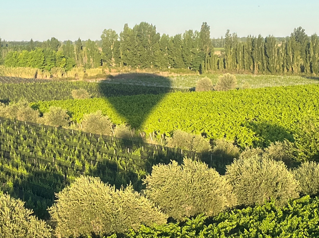 Mendoza Balloons-门多萨必去景点