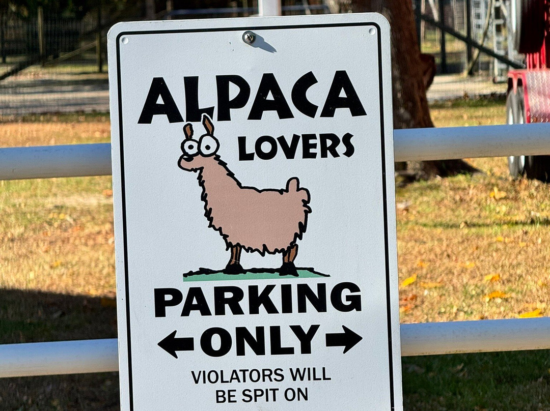 Jersey Shore Alpacas-开普梅必去景点