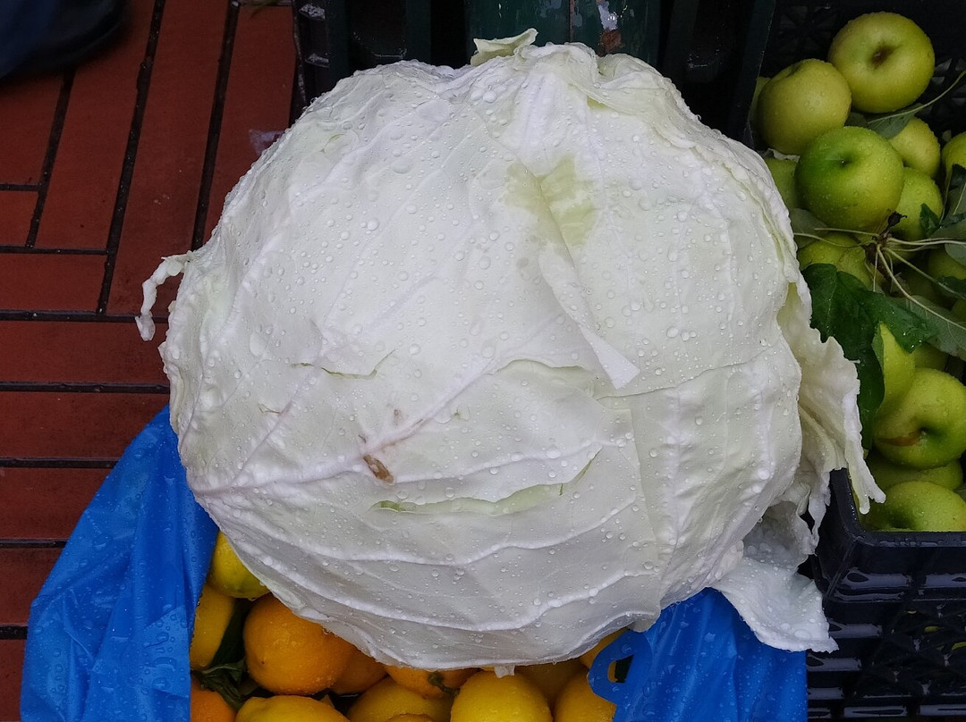 Pazari i Ri-地拉那必去景点