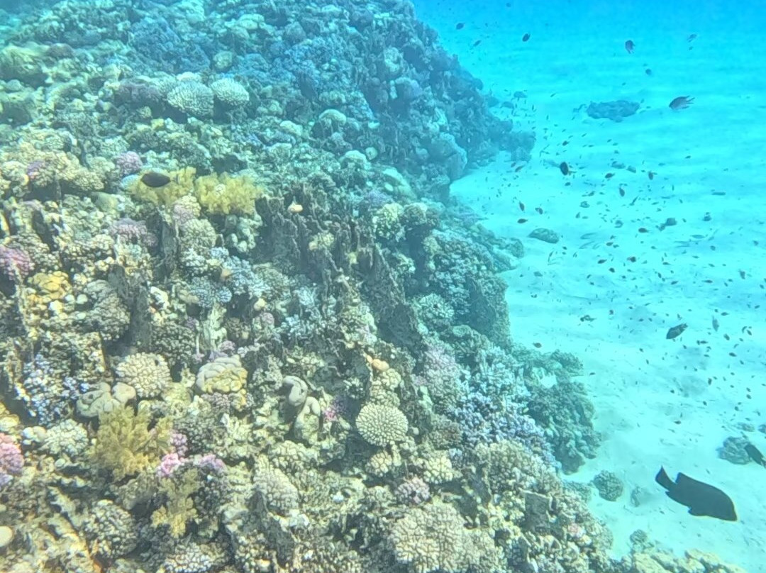 Erlebnis Ägypten-Safaga必去景点