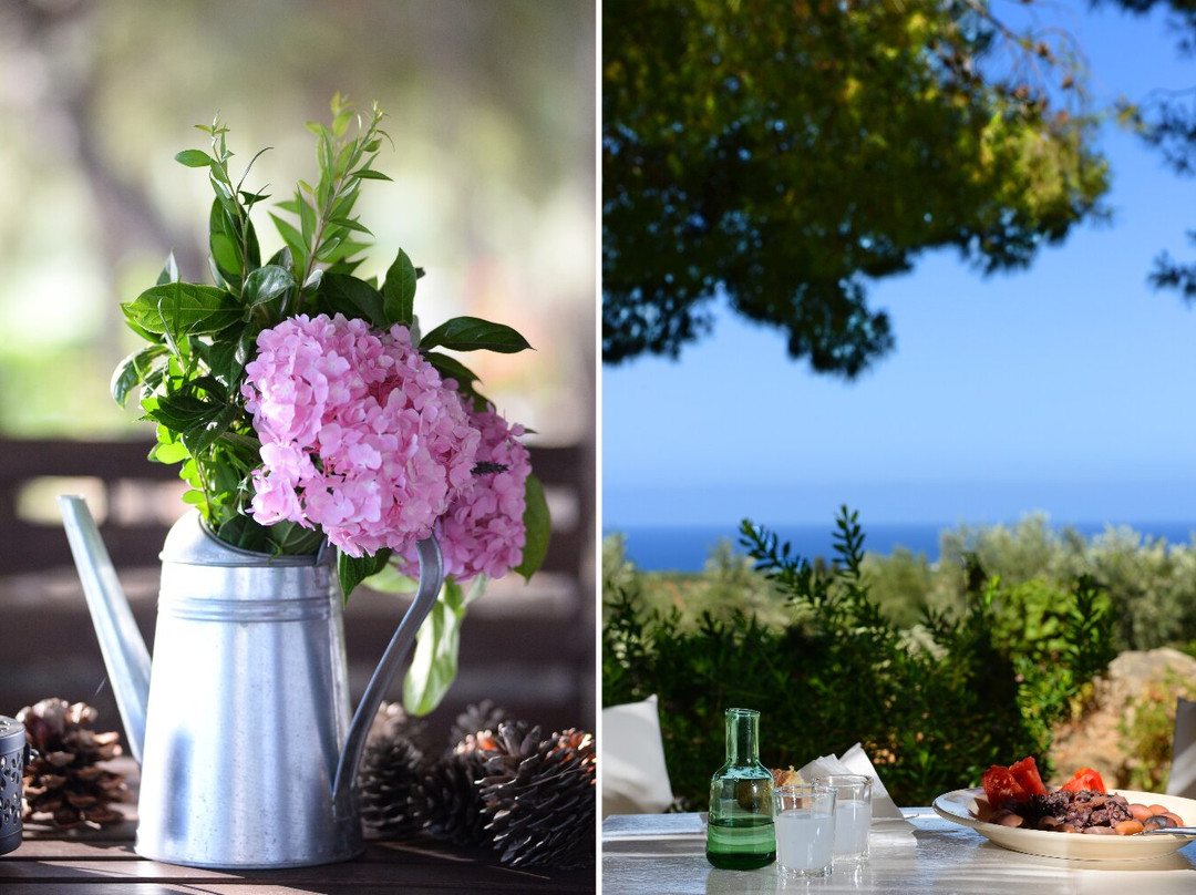 Marathopoli酒店住宿-Traganitsa Apartments