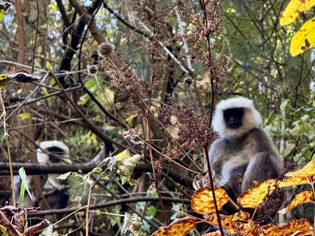 Himalaya Reisen-Wettingen必去景点