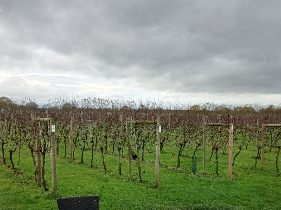 Yorkshire Heart Vineyard-约克必去景点