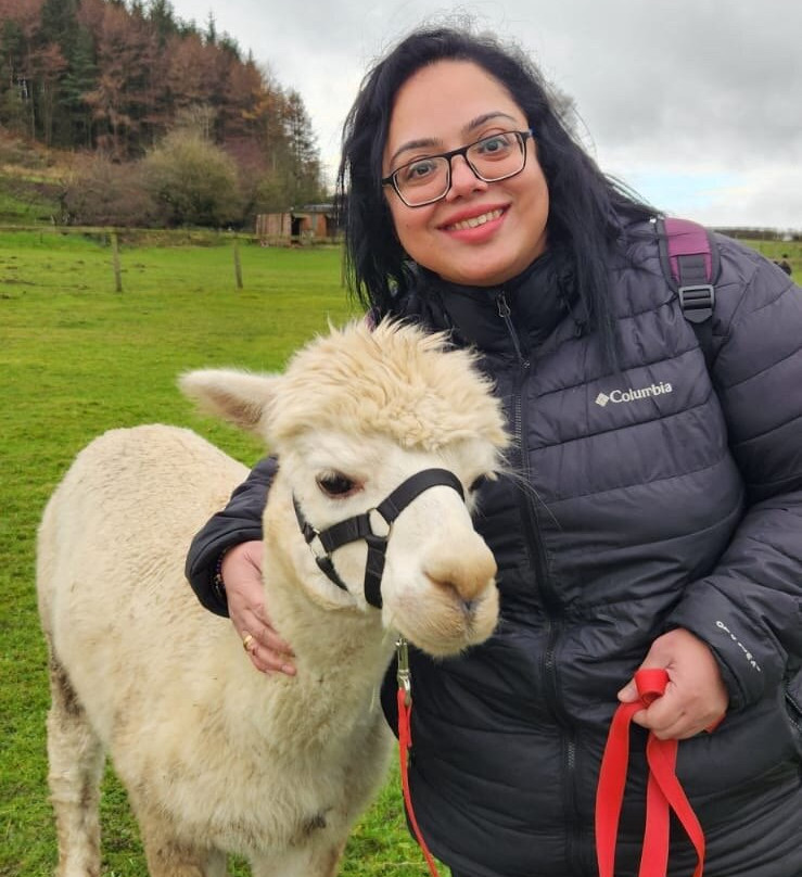 Little Alpaca Company-Kildale必去景点