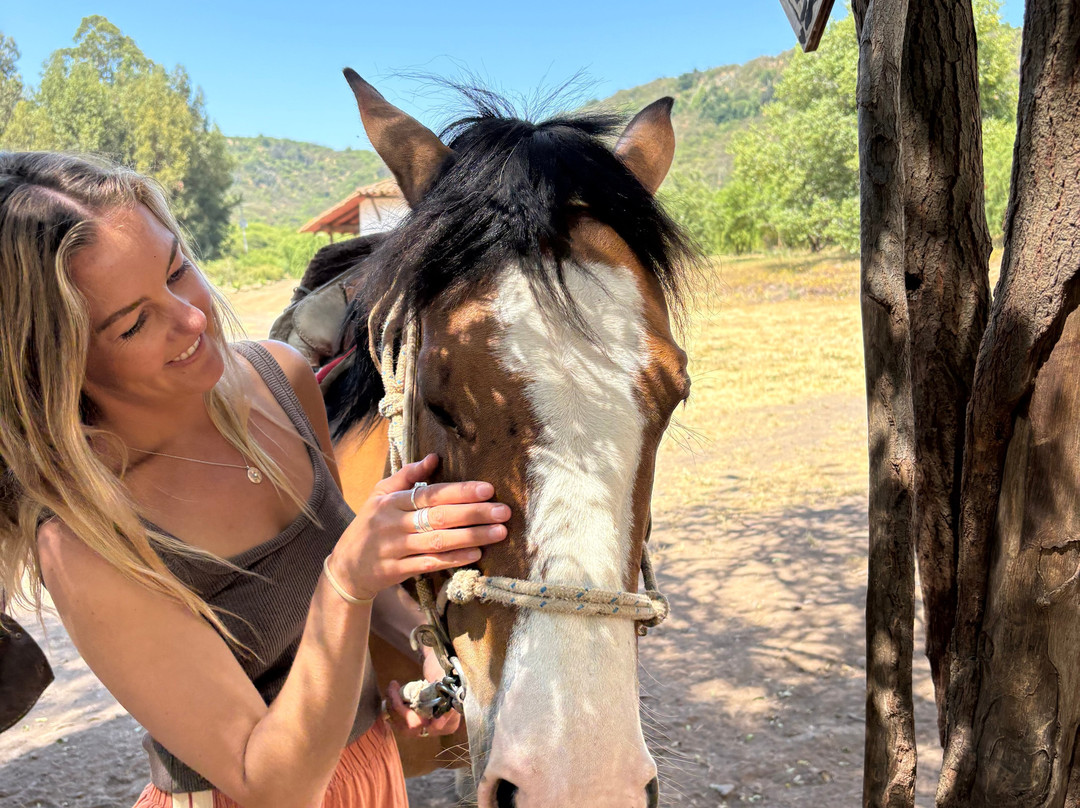 Natural Wine Tours-Palmilla必去景点