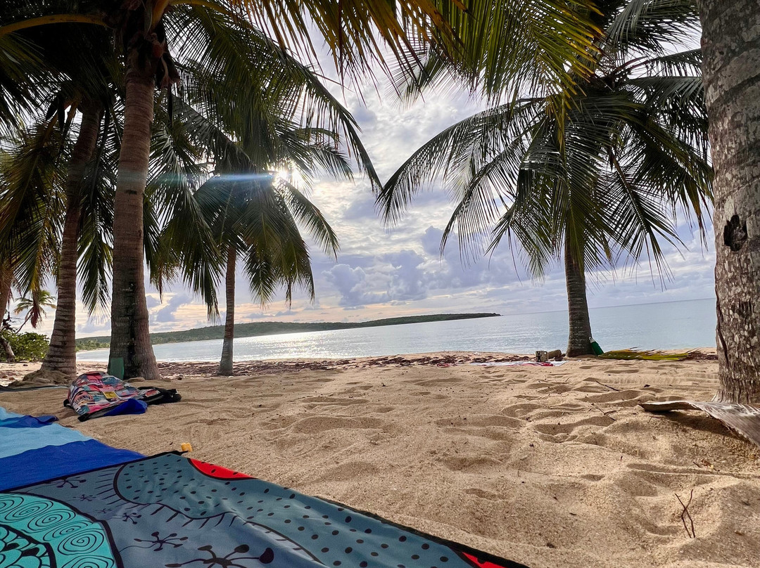 Vieques Wellness and Yoga-Vieques必去景点