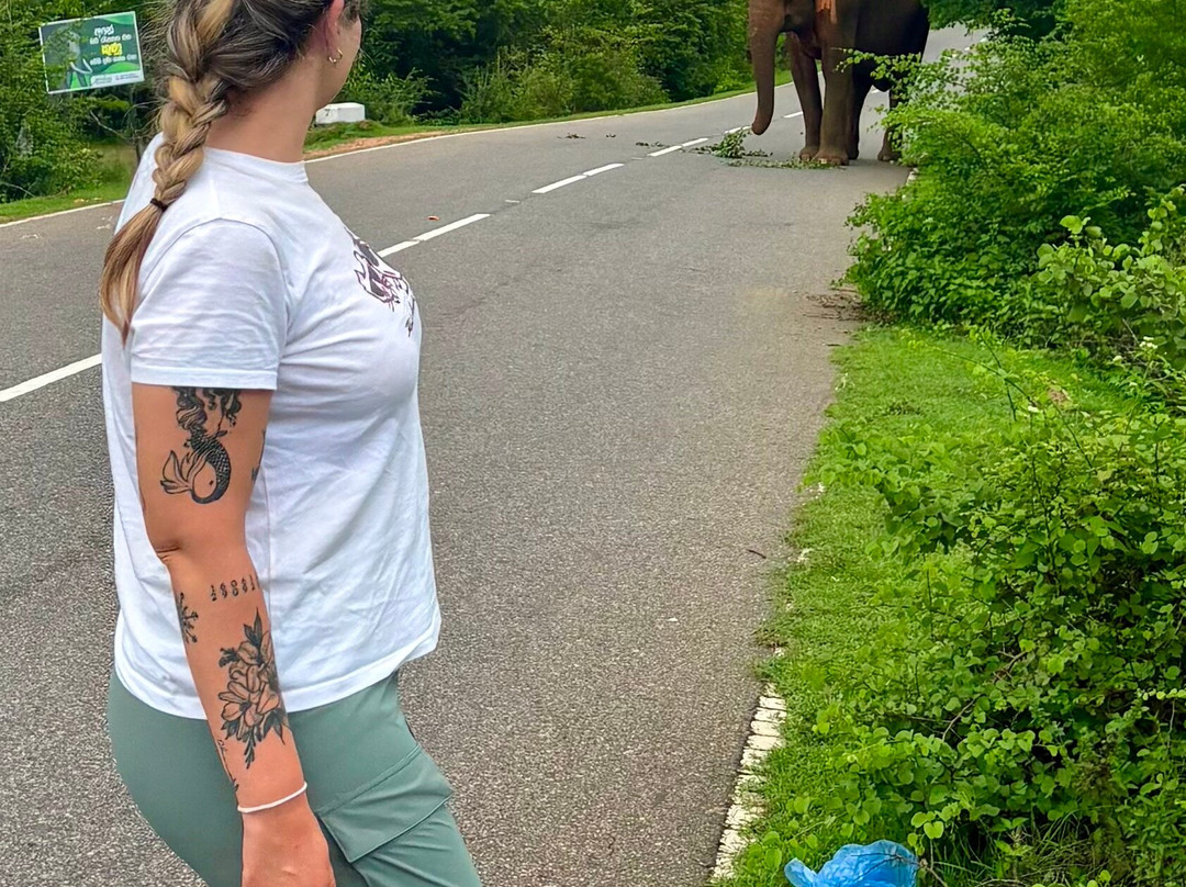 Travelution-拉非尼亚山必去景点