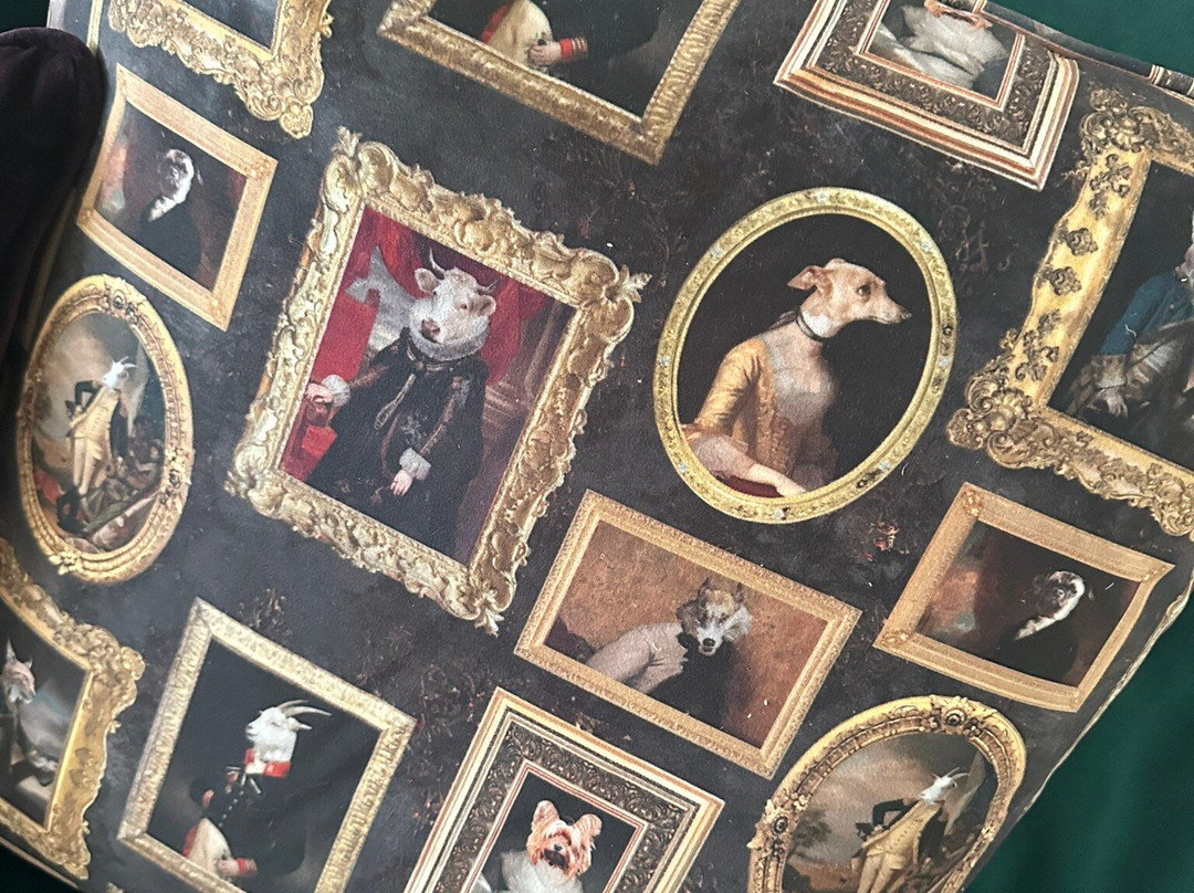 Vintage Sofa Co-哈里法克斯必去景点